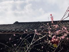 -海窝子古镇