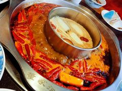 -董家湾重庆老火锅(武清杨村店)