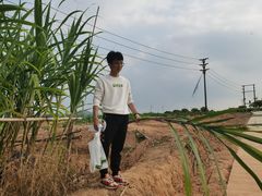 -光明小镇欢乐田园