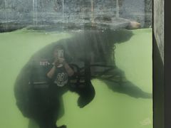 -石燕湖生态旅游景区