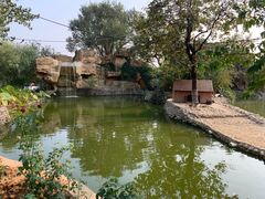 -静之湖湖畔餐厅