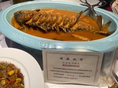 -阿五黄河大鲤鱼(英协路店)