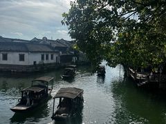 -乌镇景区