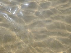 -日照海滨国家森林公园