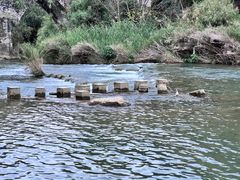 -高荡千年布依古寨旅游景区