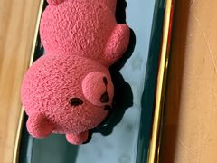 -酷豆宠物咖啡·宠物美食·撸猫馆