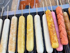 -长白岛森林公园