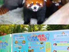 -灵玲国际马戏城