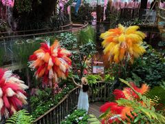 -正佳雨林生态植物园