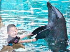 -新加坡水上探险乐园