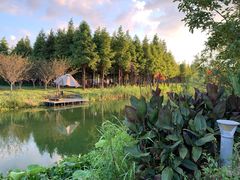 -盐官日光域房车营地·有盐餐厅