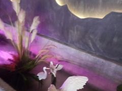 -韵秋荷(宝山龙湖天街店)