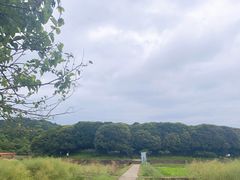 -八卦田遗址公园