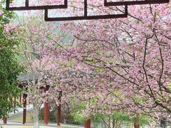 -采石矶景区