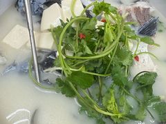 -宝荣鱼馆·临湖之宴(千岛湖店)