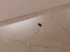 -佛山岭南天地康得思酒店