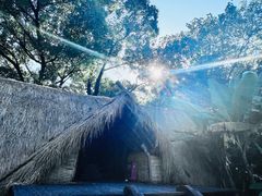 -河姆渡遗址博物馆