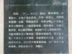 -北京石刻艺术博物馆(五塔寺)