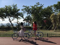 海边-厦门国家会计学院