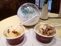 -哈根达斯(石家庄北国店)
