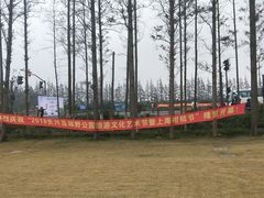 -上海长兴岛郊野公园