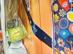 -米兰马尔彭萨国际机场