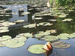 -凤凰沟景区