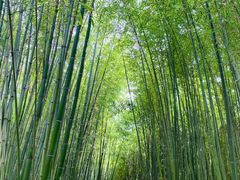 -竹泉村旅游度假区