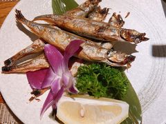多春鱼-酒井酱子·深夜食堂(东城汇店)