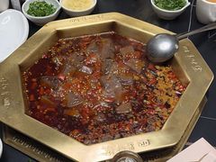 -蜀九香火锅(彩虹店)