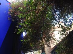 -马洛雷勒花园