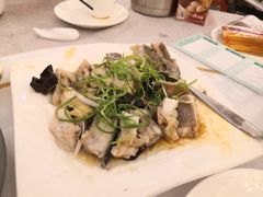 清蒸龍躉-富临皇宫(石门店)
