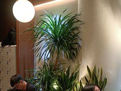-奈雪的茶(石家庄万象城店)