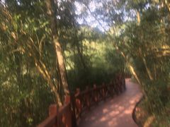-广州市石门国家森林公园