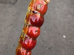 -和禄德冰糖葫芦