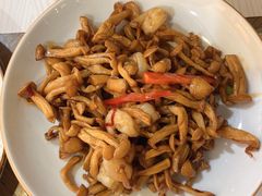 XO酱爆白玉菇虾仁-大树餐厅(大悦城店)