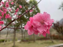 -温州永嘉书院