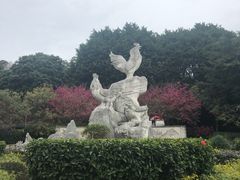 -金鸡山公园
