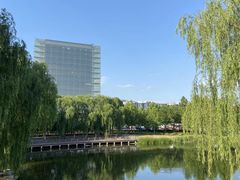 -大兴滨河森林公园