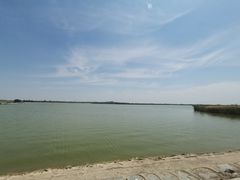 -盐城丹顶鹤湿地生态旅游区