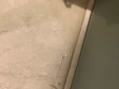 -济南喜来登酒店