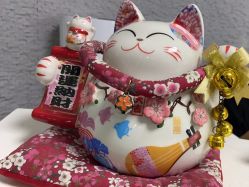 -学舞岛·成人少儿舞蹈培训