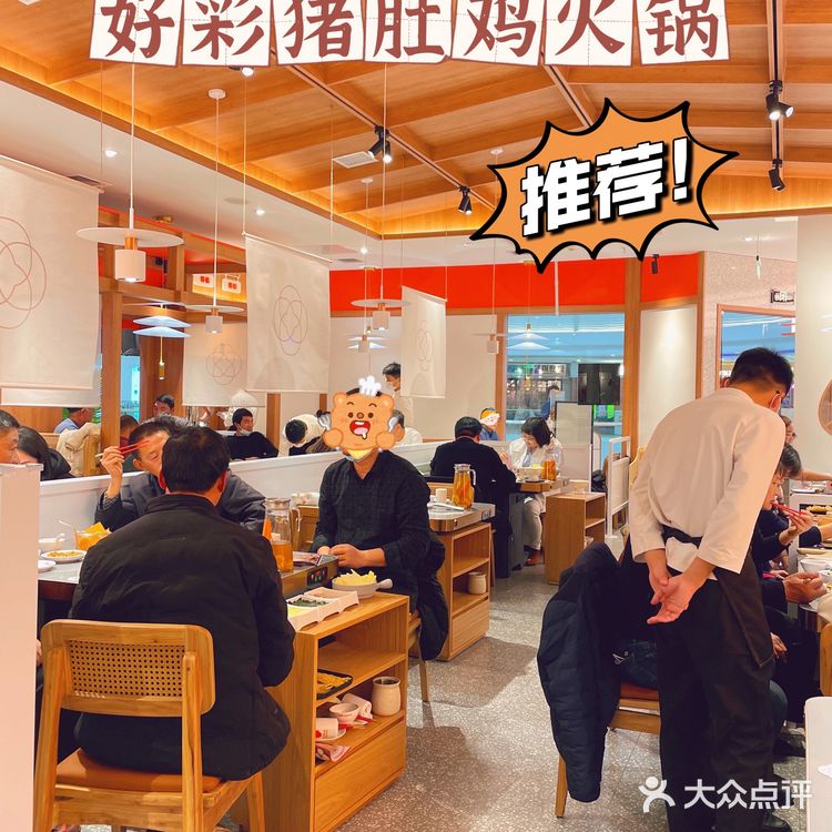 养生局走起❗️❗️❗️|猪肚鸡火锅