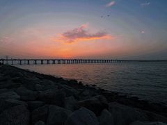 -宝安西湾红树林湿地公园