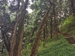 -七曲山风景区