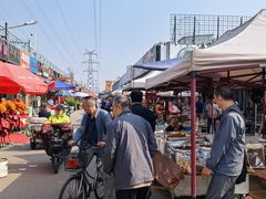 -中环花鸟鱼虫市场