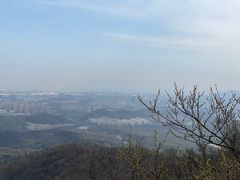 -紫金山山顶公园