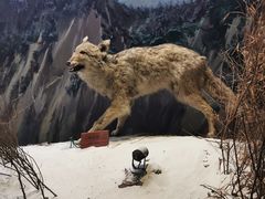 -陕西自然博物馆