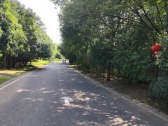 -南京市江宁方山
