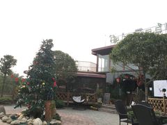 -森居forest休闲咖啡聚集地